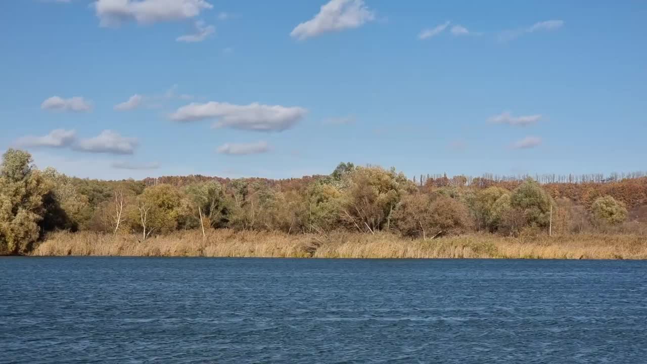 一条快速流动的河流，背景是晴朗的天空和云层。秋天，河岸上的树都变黄了。视频素材