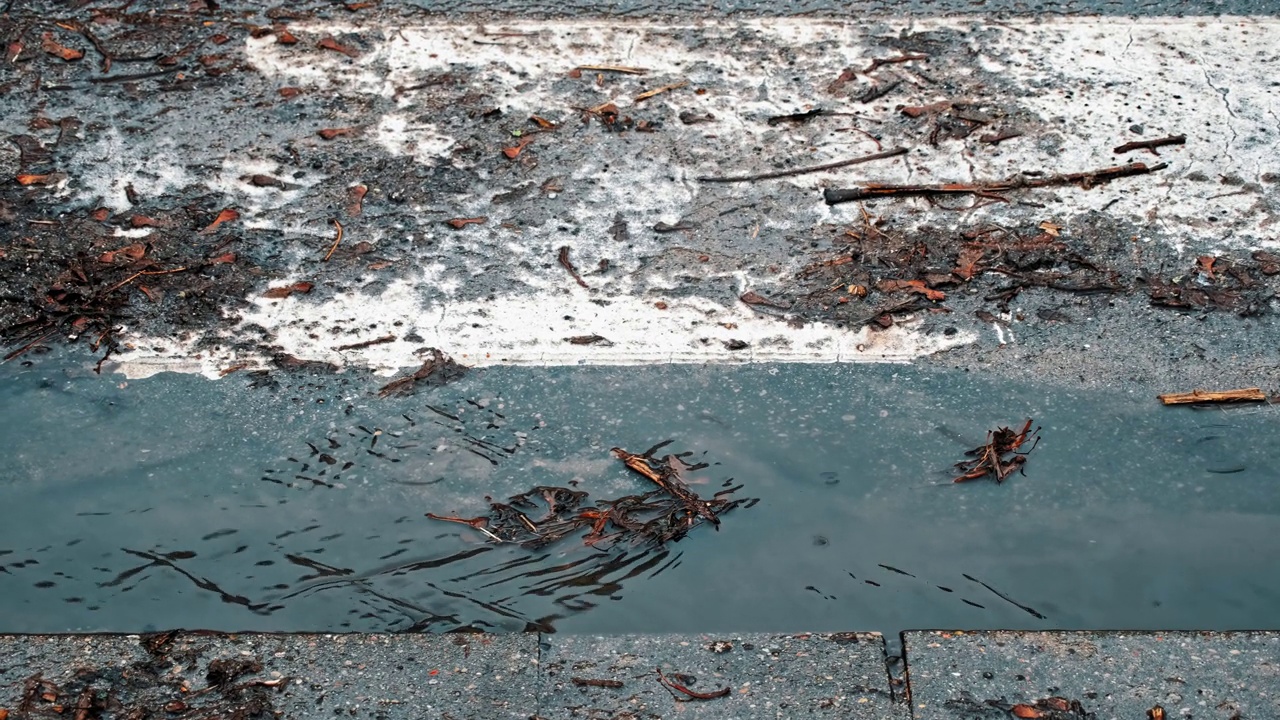 肮脏的雨水带着枯萎的树叶沿着街道流淌视频素材