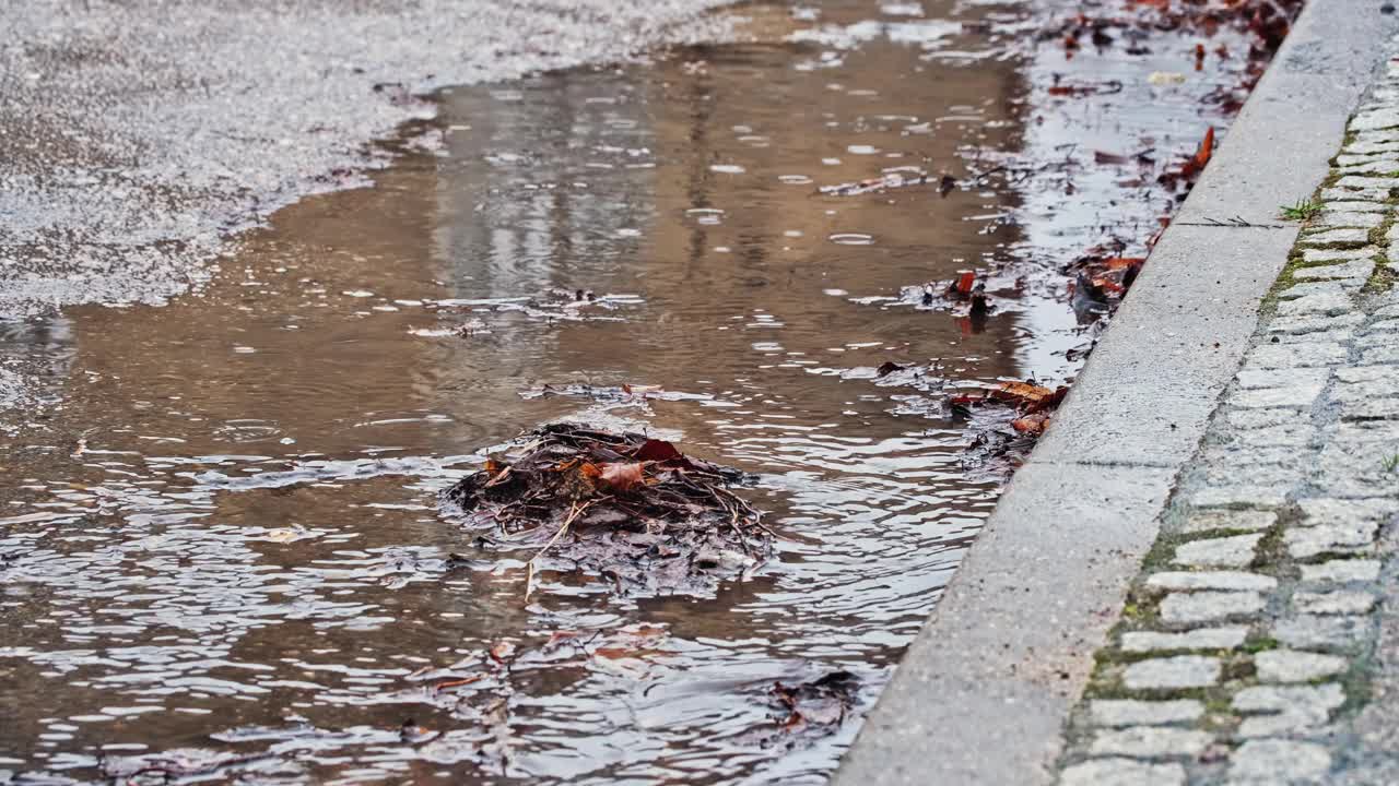 肮脏的雨水带着枯萎的树叶沿着街道流淌视频素材