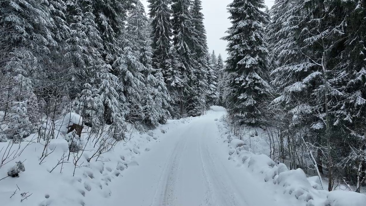 壮丽的山区冬季景观，冷杉林中幽静的小木屋在下雪时完全被雪覆盖。视频素材