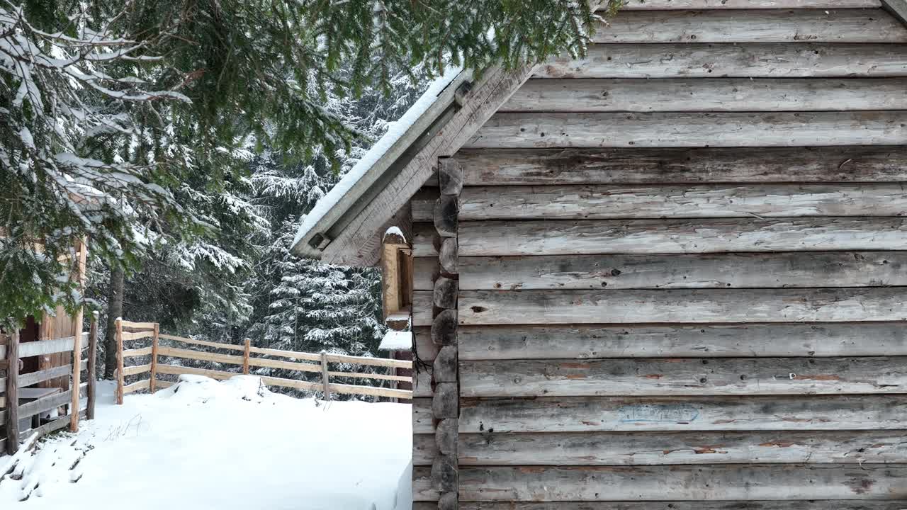 壮丽的山区冬季景观，冷杉林中幽静的小木屋在下雪时完全被雪覆盖。视频素材