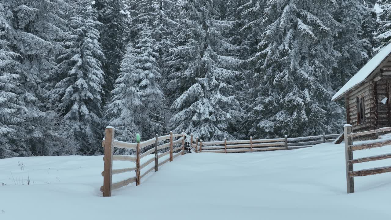 壮丽的山区冬季景观，冷杉林中幽静的小木屋在下雪时完全被雪覆盖。视频素材