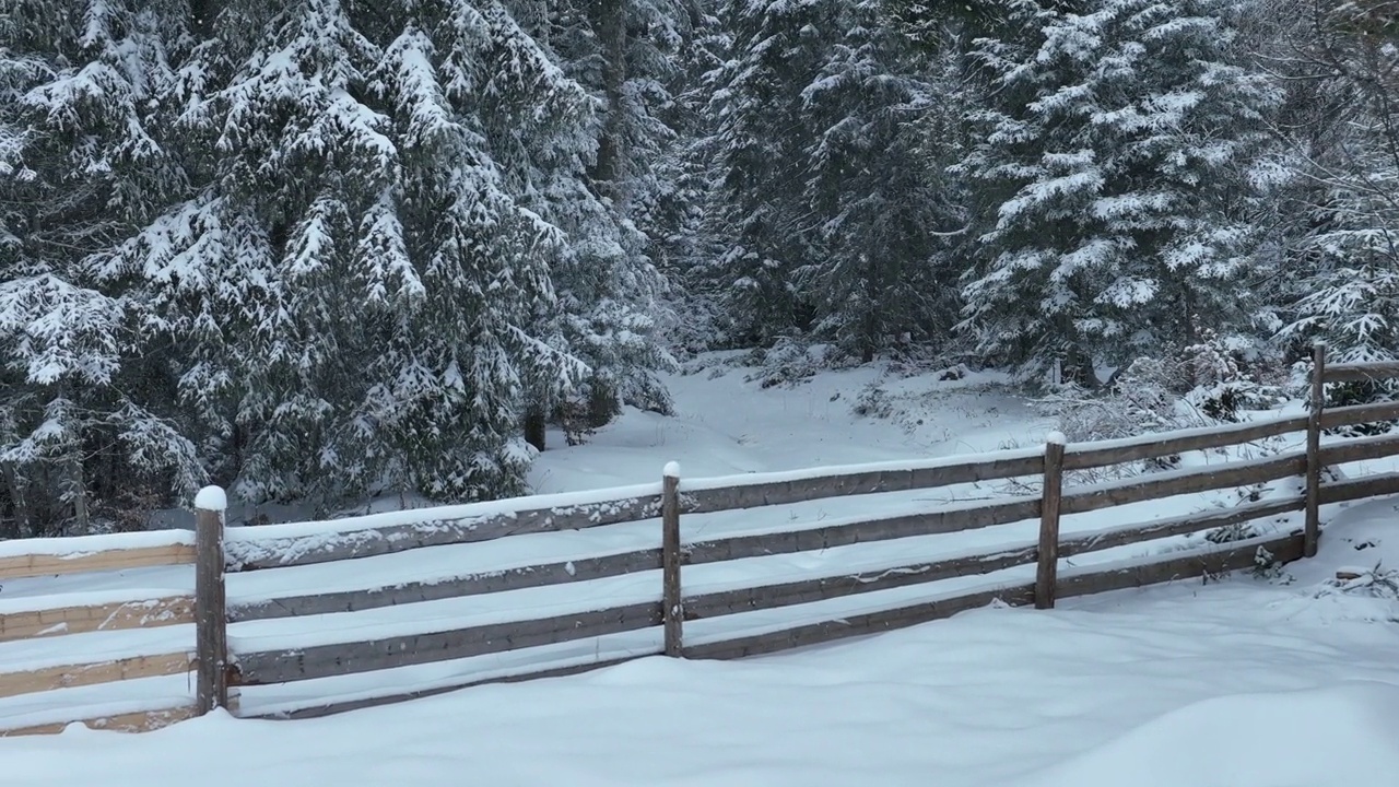 壮丽的山区冬季景观，冷杉林中幽静的小木屋在下雪时完全被雪覆盖。视频素材