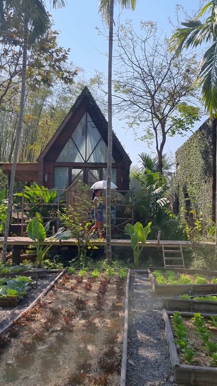 乡村的木制小屋被棕榈树环绕，还有一个菜园。小屋雨林视频素材