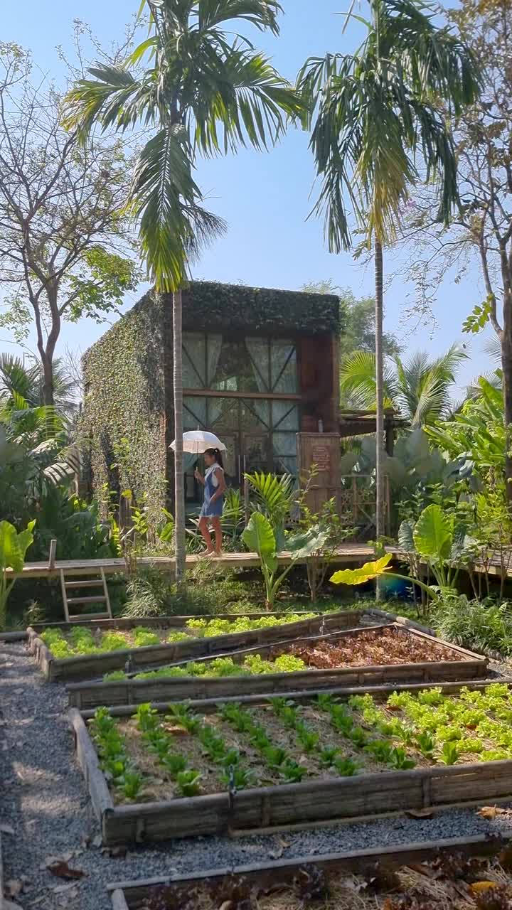 乡村的木制小屋被棕榈树环绕，还有一个菜园。小屋雨林视频素材