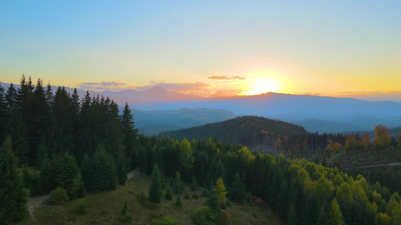 从乌克兰喀尔巴阡山脉上方看秋天日落时树木繁茂的山丘。在秋天，夕阳下的松林明亮地照耀着视频素材