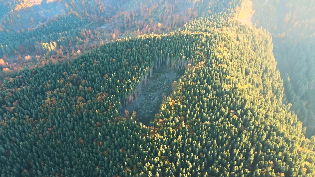 由于砍伐森林松树，黑暗的小山被裸露的斑块所覆盖的鸟瞰图。秋天日出时的森林砍伐过程。美丽的野生森林受到威胁视频素材