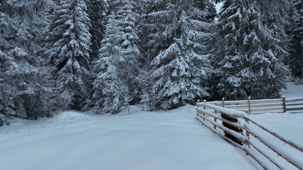 壮丽的山区冬季景观，冷杉林中幽静的小木屋在下雪时完全被雪覆盖。视频素材