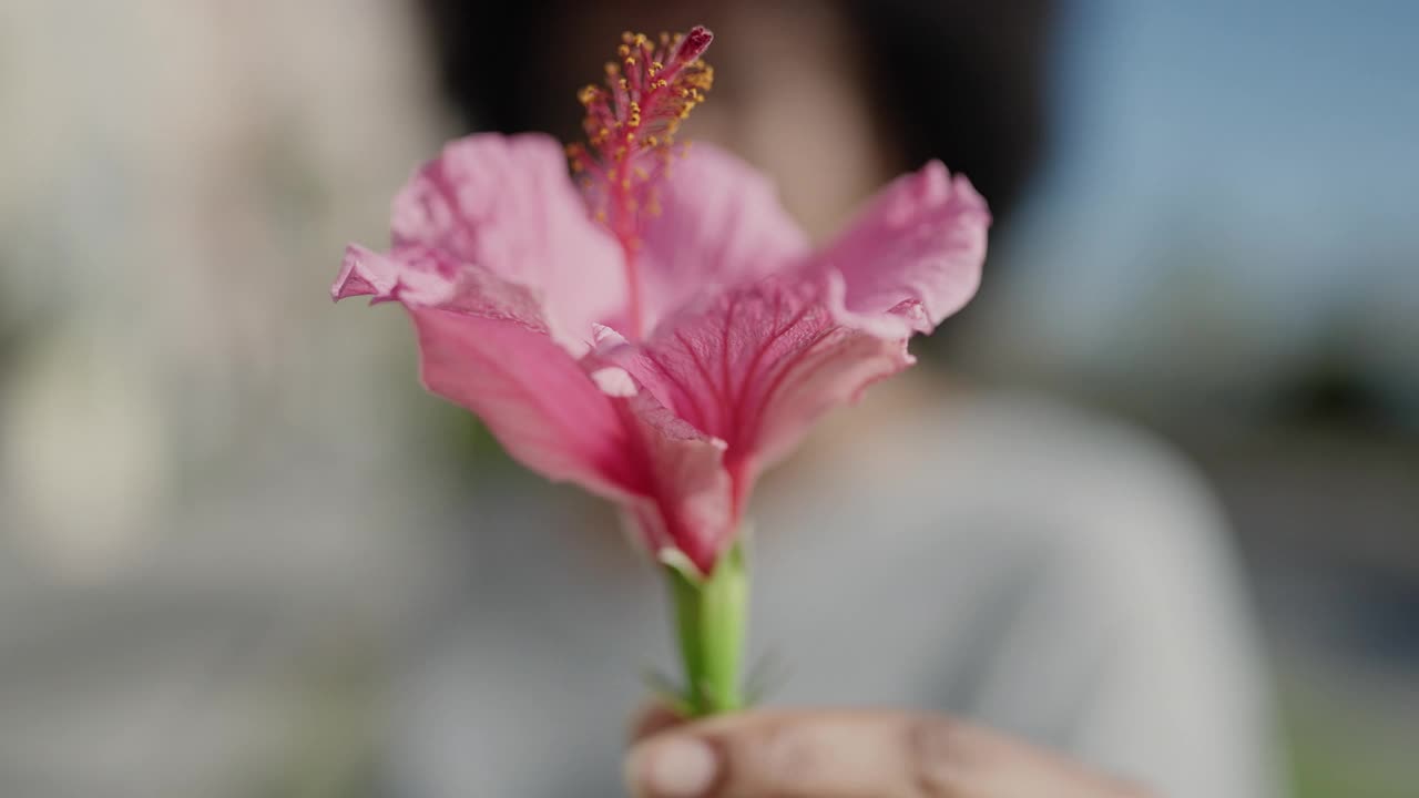 非裔美国妇女微笑自信闻花在公园视频素材