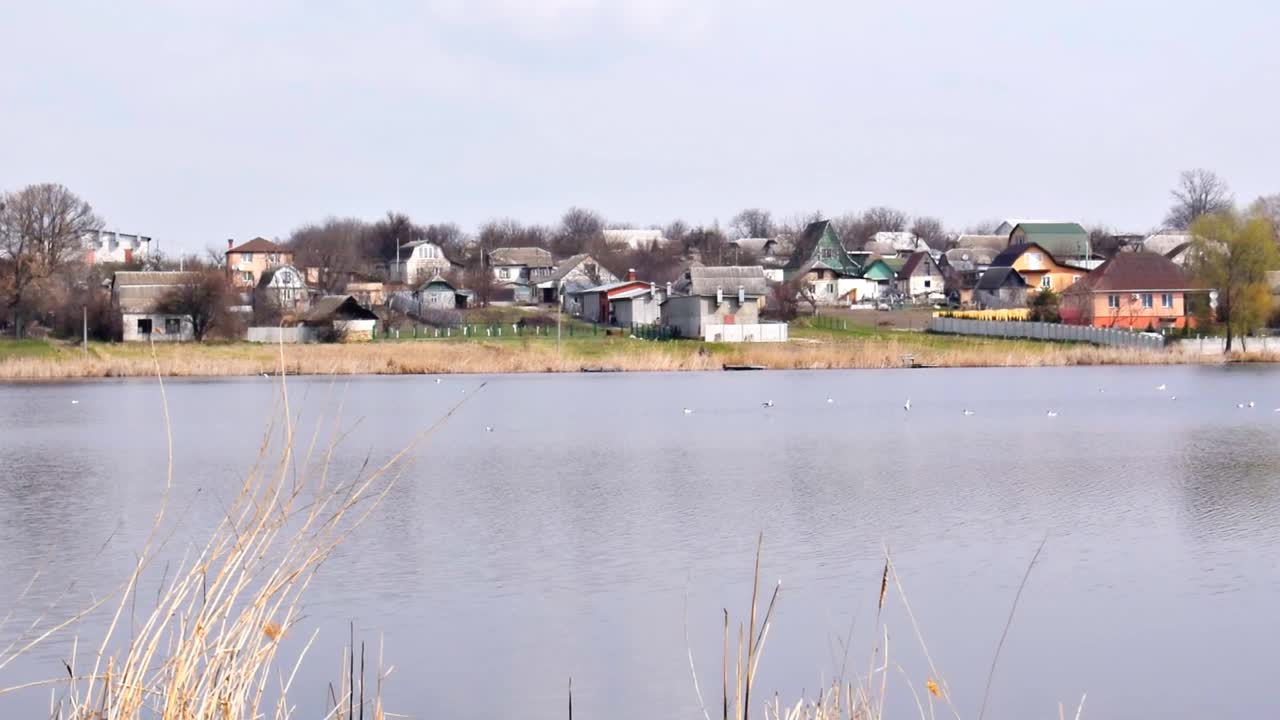 风景平静宁静的全景湖，池塘，河与蓝色的水在乡村乡村地区与私人住宅，自然郊区景观在多云的春秋视频下载