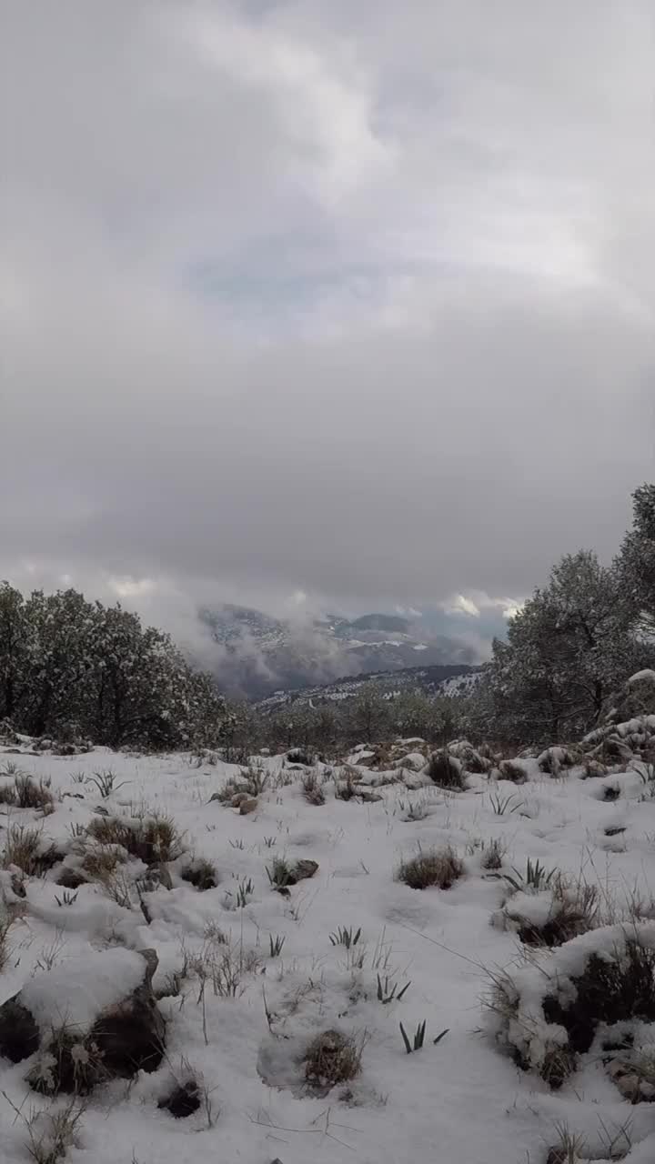 雪景时间流逝视频下载