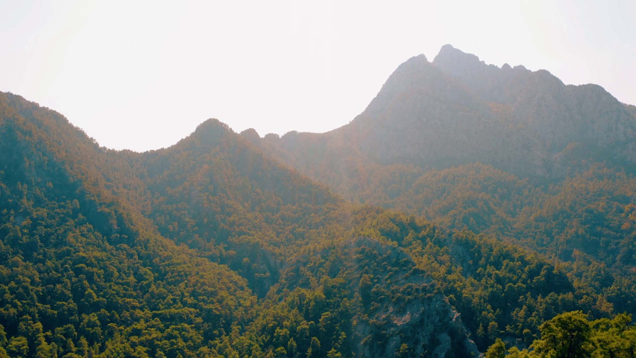 阳光下，落基山脉的山峰被绿树覆盖。视频素材