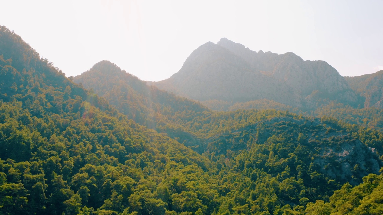 青翠的山峦上覆盖着茂密的森林。从无人机上俯瞰夏天。视频素材