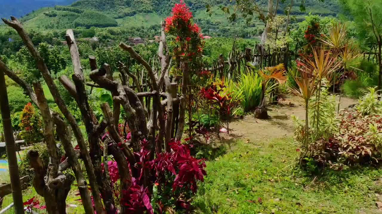 印度尼西亚Ponorogo苏哈托山上的自然旅游公园。视频素材