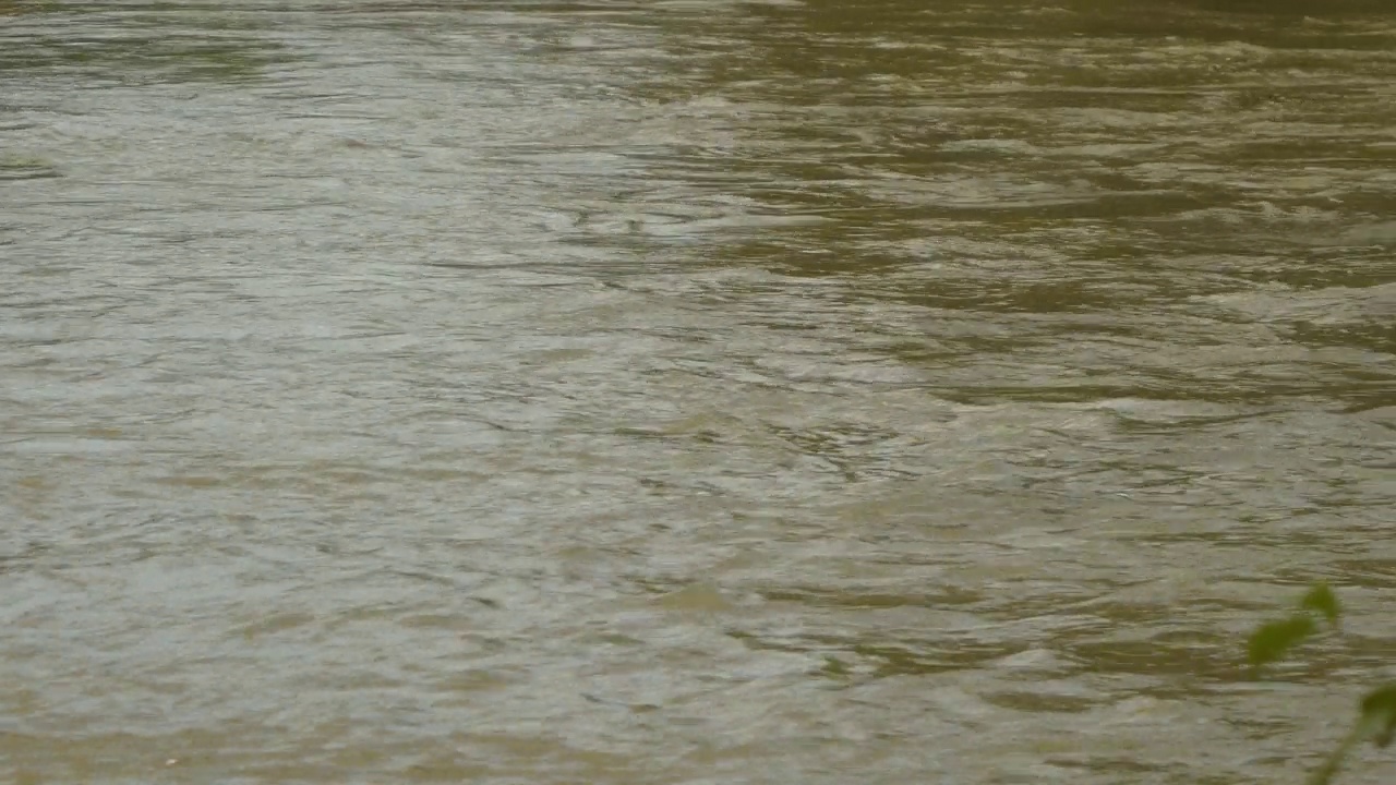 湍急流动的泥泞河流，在春季暴雨后水位上升视频素材