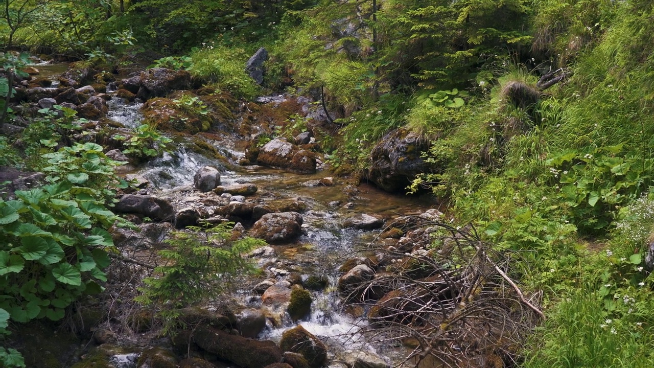 波兰扎科帕内塔特拉山国家公园。山河附近的旅游徒步路线河。塔特拉斯山脉西部的山谷视频素材