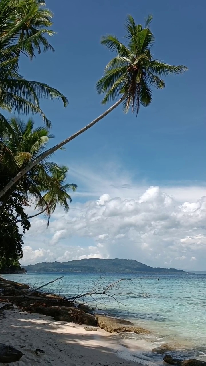 热带岛屿夏季的美丽海滩视频素材