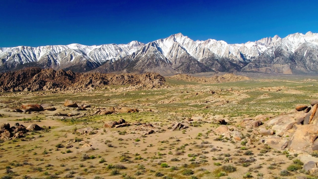 航拍:在晴朗的天空下拍摄白山风景，无人机在阳光明媚的日子里飞越半干旱的沙漠景观-大松树，加利福尼亚视频素材