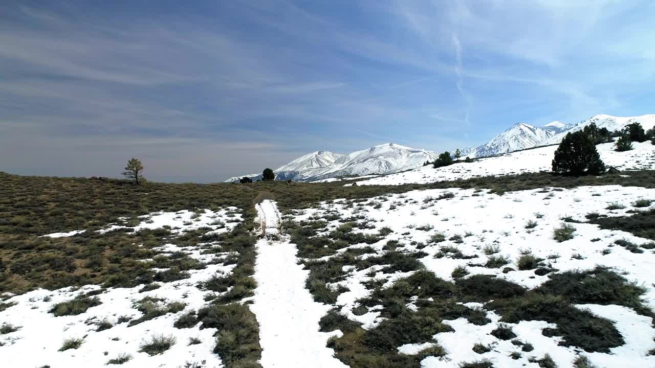 空中向前拍摄的植物在陆地上对抗天空下的白雪皑皑的山脉在沙漠地区-猛犸湖，加利福尼亚视频素材