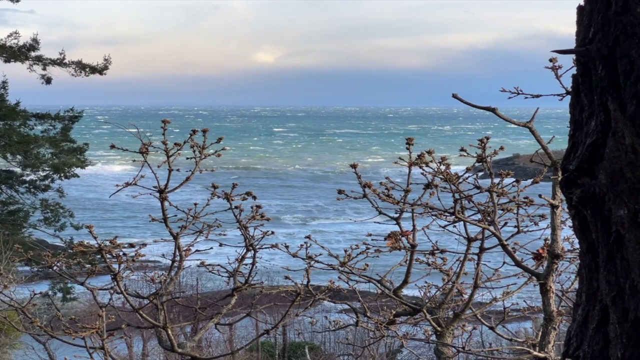 狂风巨浪视频素材