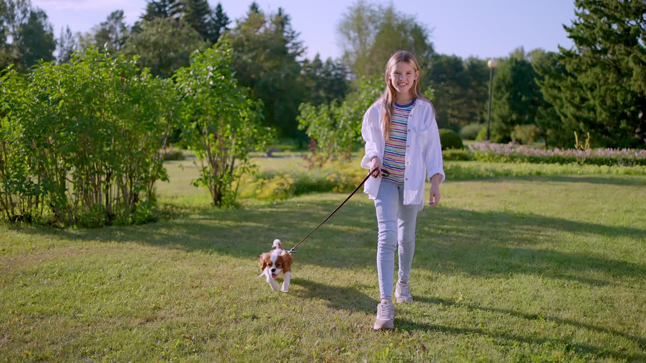 Little cute girl and pet dog walking, running, having fun in summer park at sunset outdoors. Сhild holding hugging her favourite pedigree dog friend. Happy family kid friendship dream holiday concept视频素材