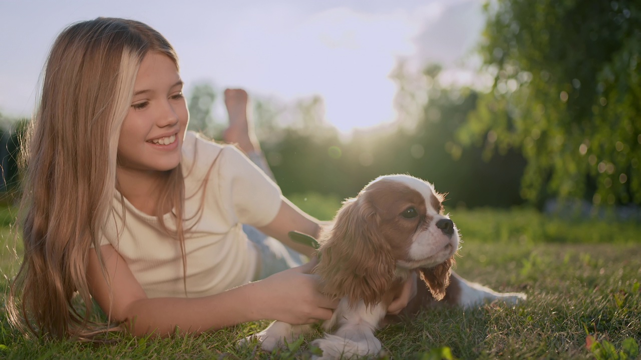 Portrait of little cute girl and pet dog walking, having fun in summer park at sunset outdoors. Сhild holding hugging favourite pedigree dog friend, Happy family kid friendship dream holiday concept视频素材