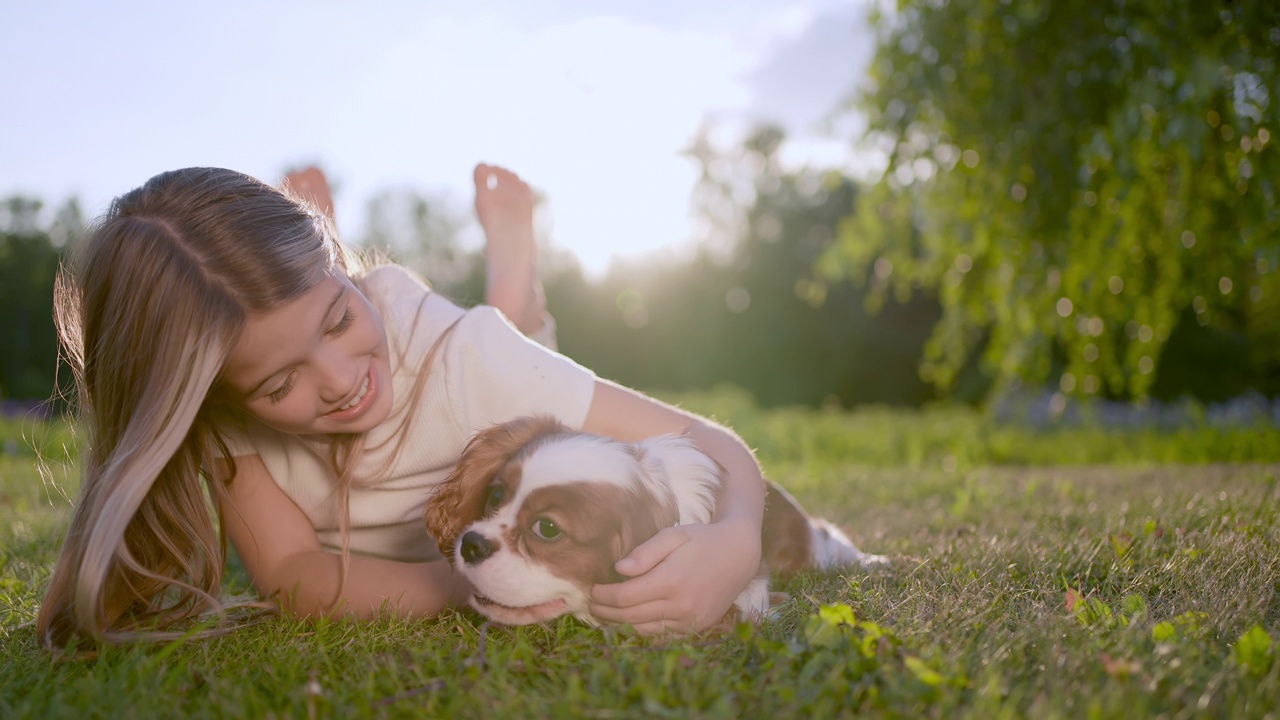 Portrait of little cute girl and pet dog walking, having fun in summer park at sunset outdoors. Сhild holding hugging favourite pedigree dog friend, Happy family kid friendship dream holiday concept视频素材