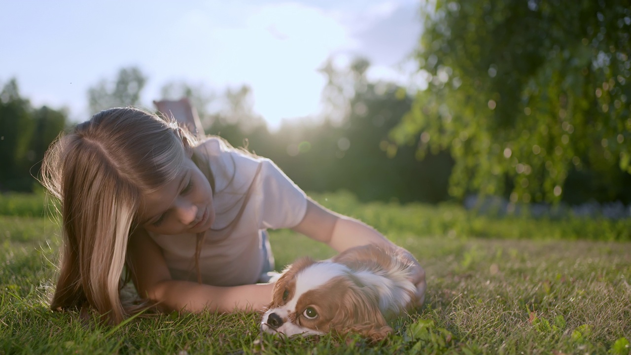 Portrait of little cute girl and pet dog walking, having fun in summer park at sunset outdoors. Сhild holding hugging favourite pedigree dog friend, Happy family kid friendship dream holiday concept视频素材