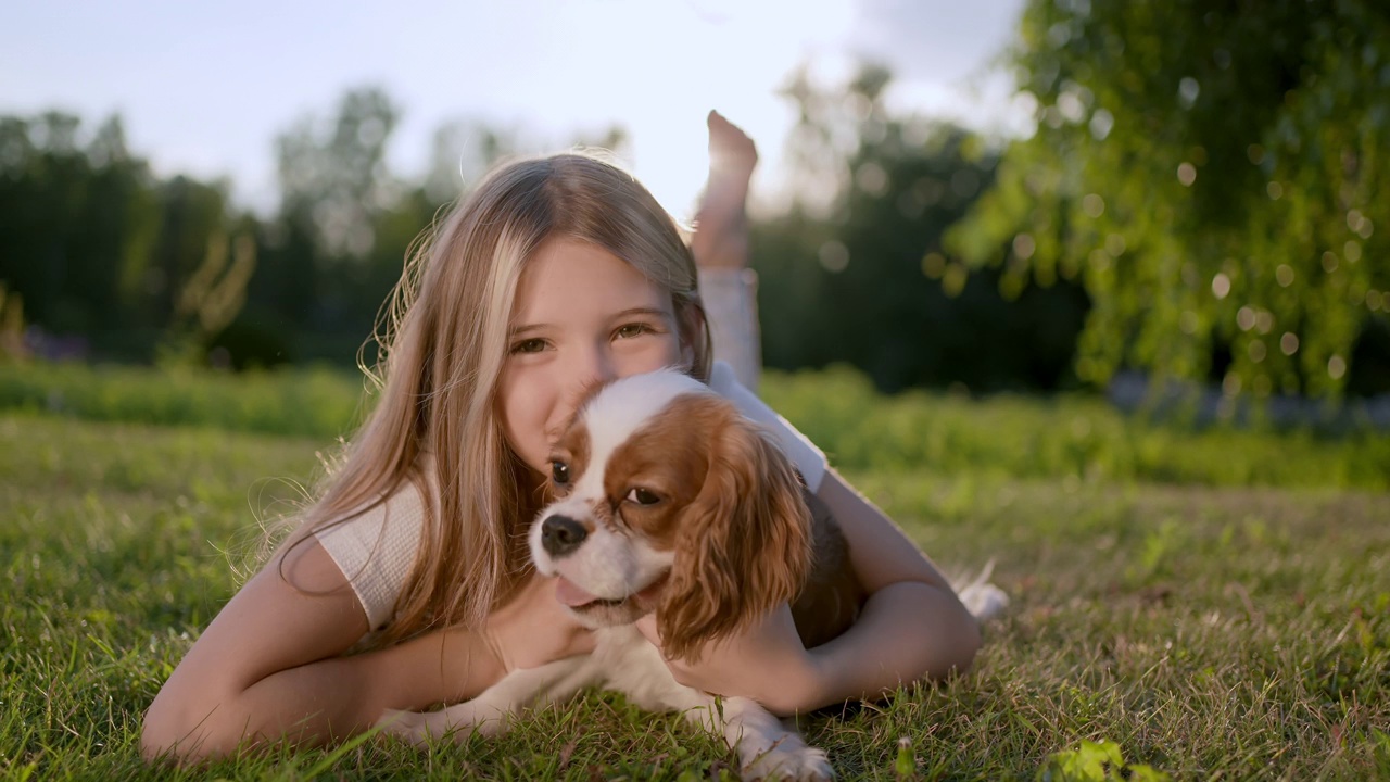 Portrait of little cute girl and pet dog walking, having fun in summer park at sunset outdoors. Сhild holding hugging favourite pedigree dog friend, Happy family kid friendship dream holiday concept视频素材