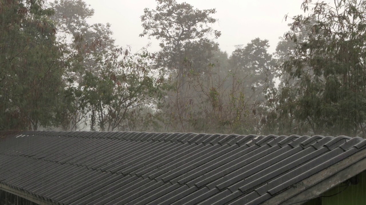 大雨从屋顶瓦顶视图或二楼视图与自然树的背景视频下载