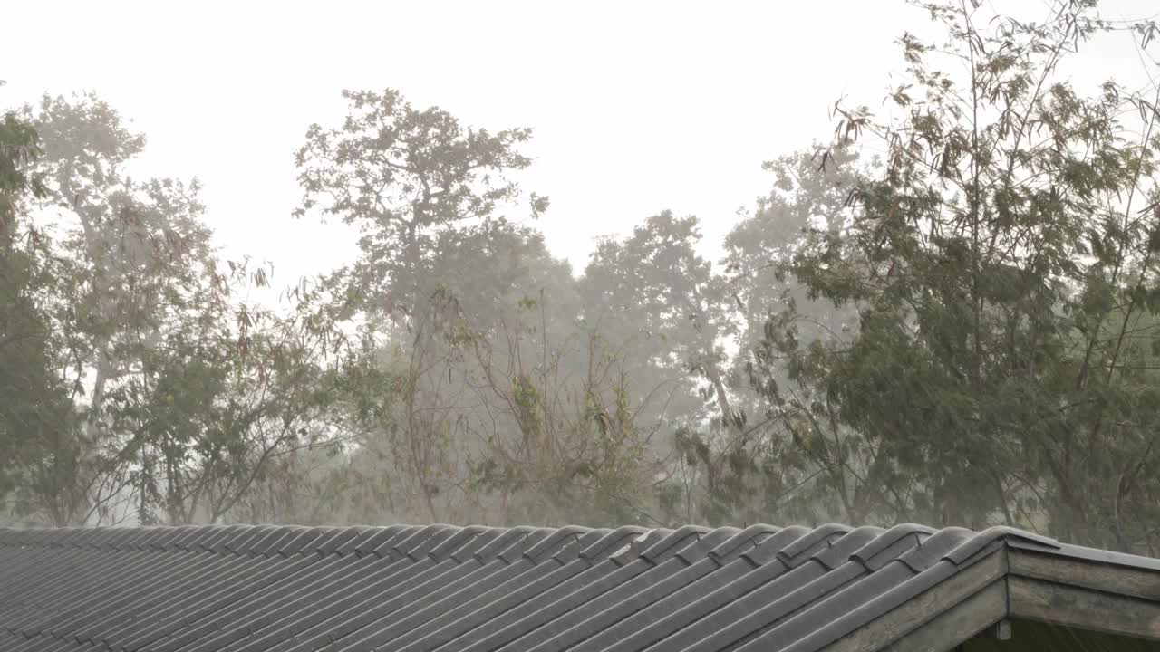 大雨从屋顶瓦顶视图或二楼视图与自然树的背景视频下载