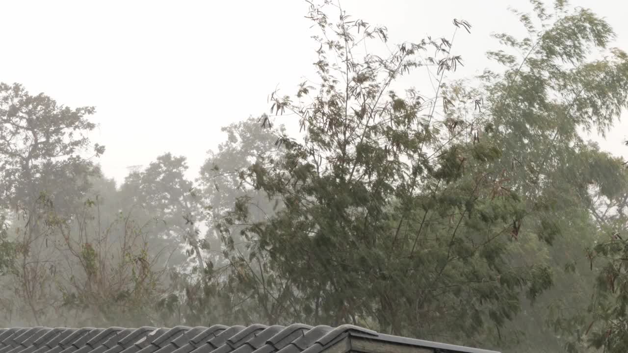 大雨从屋顶瓦顶视图或二楼视图与自然树的背景视频下载