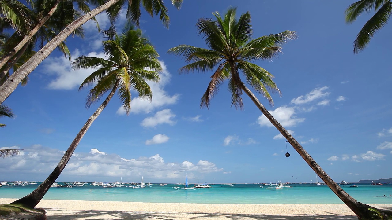 原始的海滩，棕榈树，白色的沙滩和蓝绿色的热带海。旅游目的地视频素材