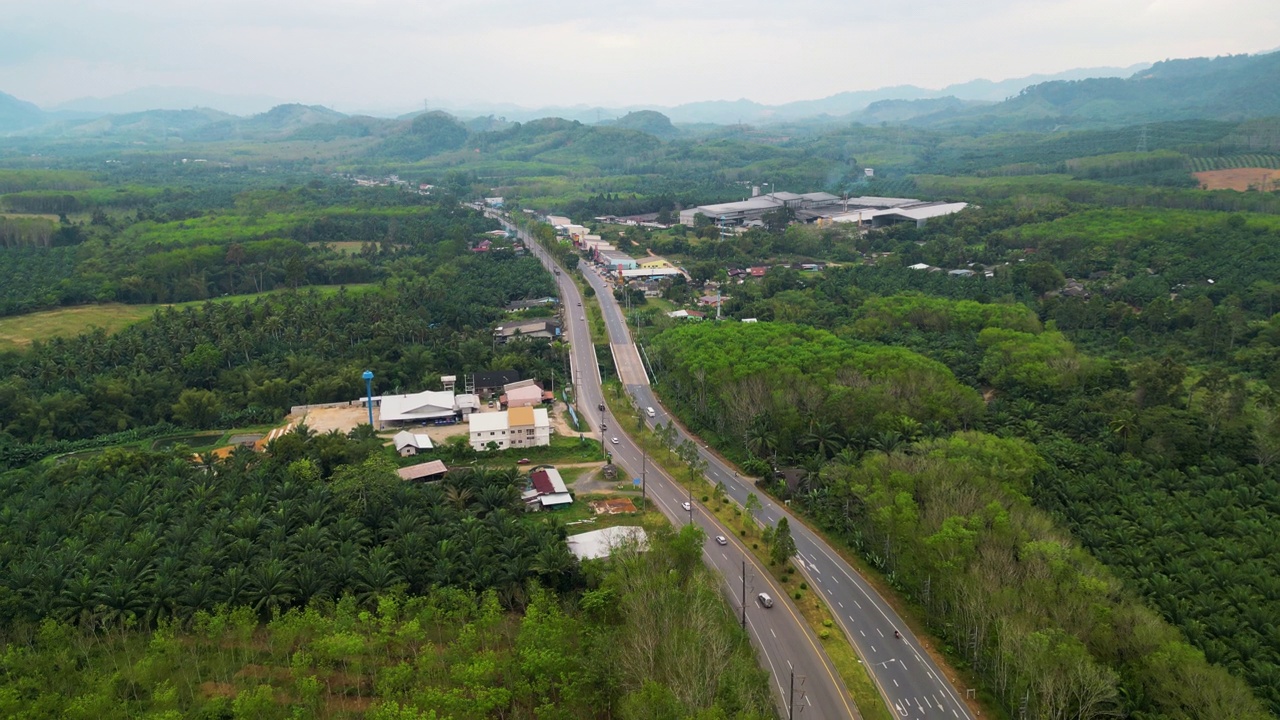 泰国棕榈油种植园道路的鸟瞰图视频素材