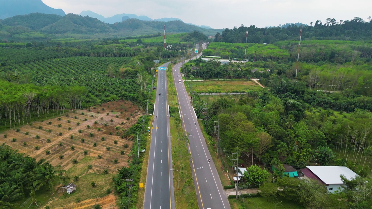 泰国棕榈油种植园道路的鸟瞰图视频素材