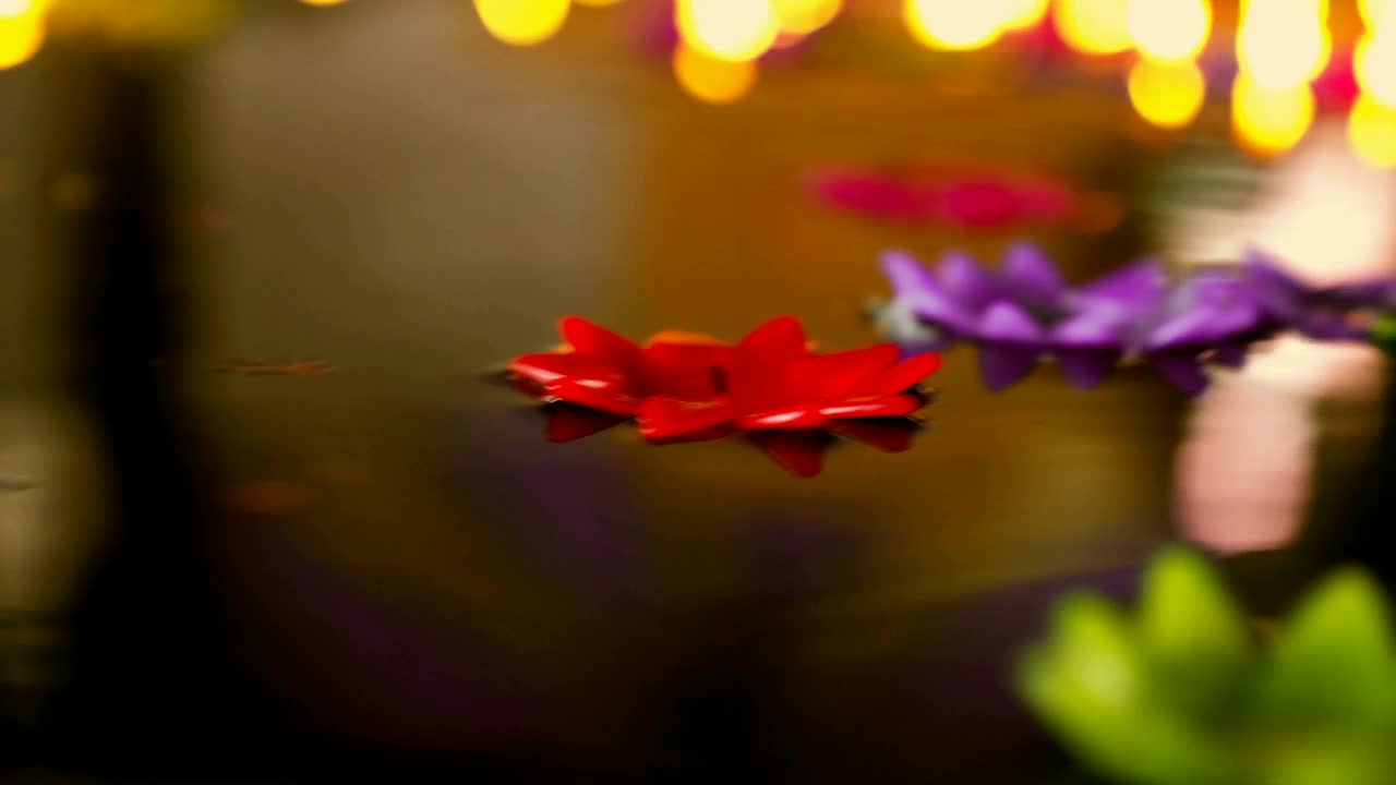 一朵莲花形的花浮在水面上。视频素材