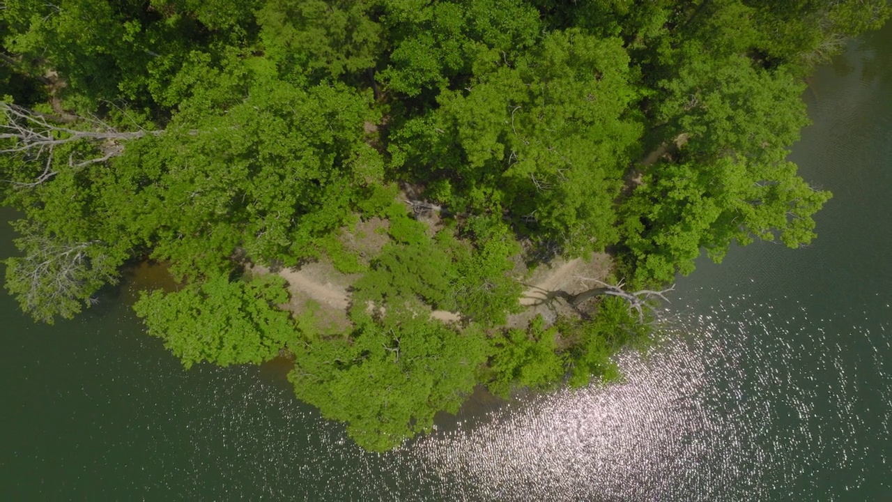 空中向上拍摄的绿色树木在宁静的森林在阳光灿烂的一天涟漪河-塔斯卡卢萨，阿拉巴马州视频素材