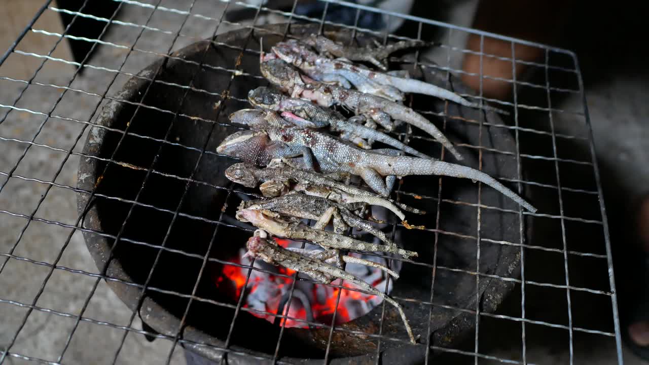 变色龙，蜥蜴，地方美食，泰国东北部地区令人惊叹的地方美食lsan,E-san，那是变色龙，4k视频下载