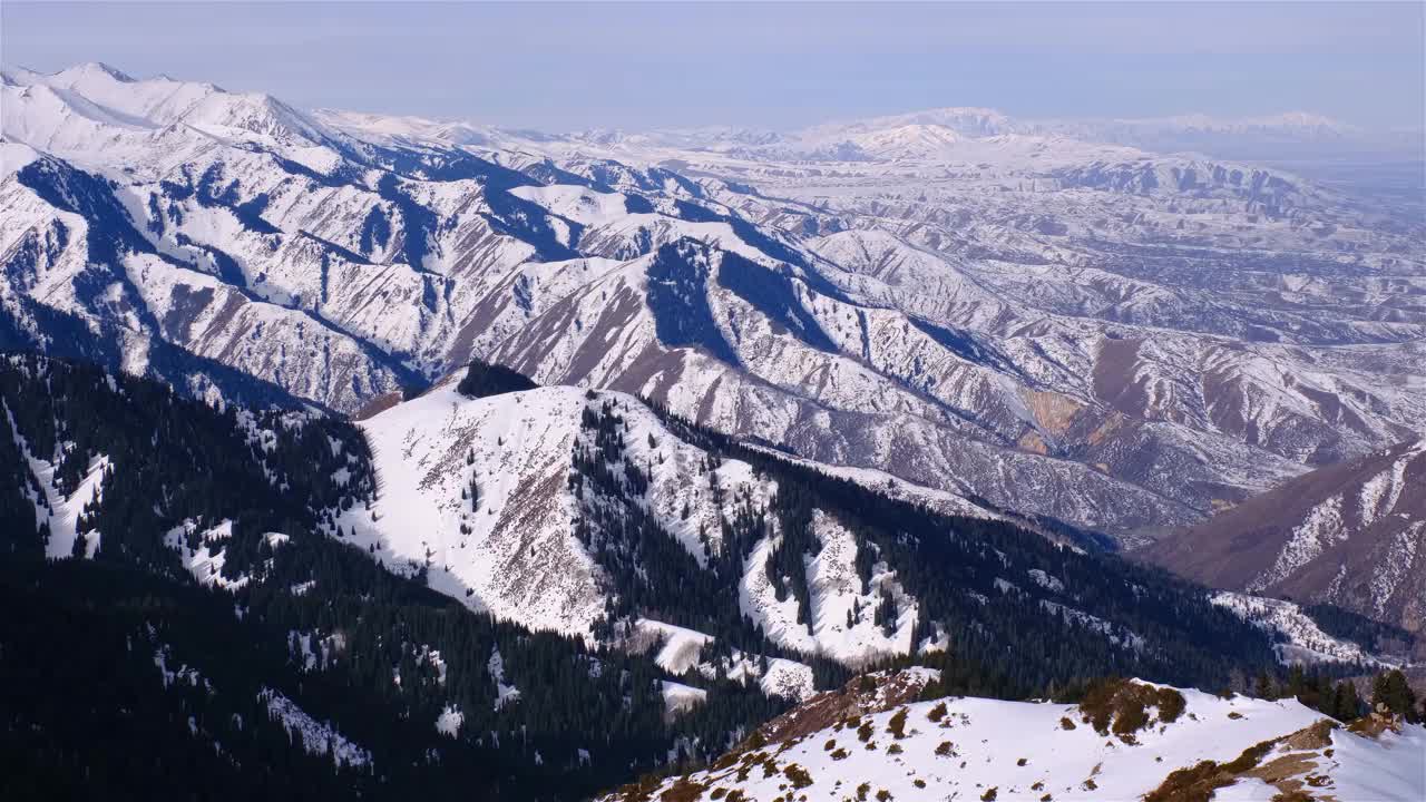 山顶森林冬天视频素材