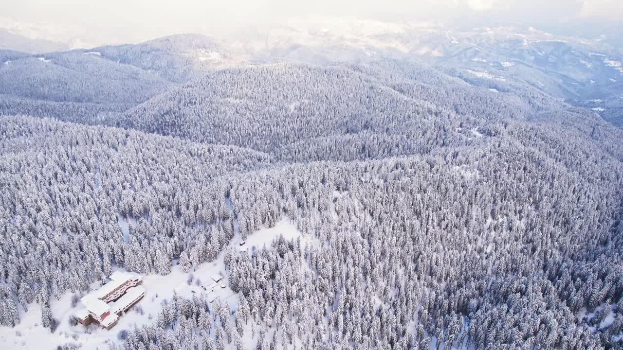 冬季度假山庄山岭森林滑雪场低空中视频素材