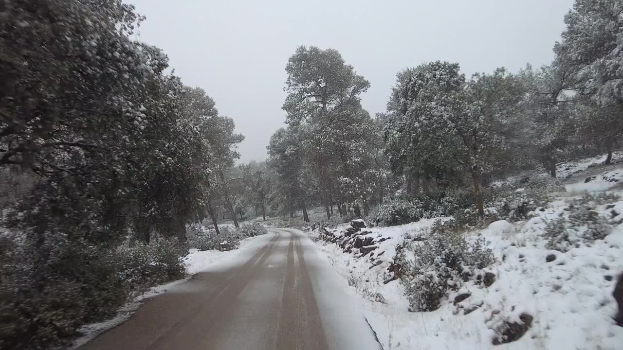 第一人称视角，在树木环绕的雪路上驾驶视频下载