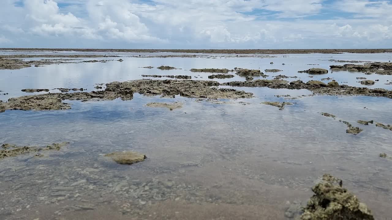 时间在Coroa Vermelha海滩的珊瑚上流逝视频下载