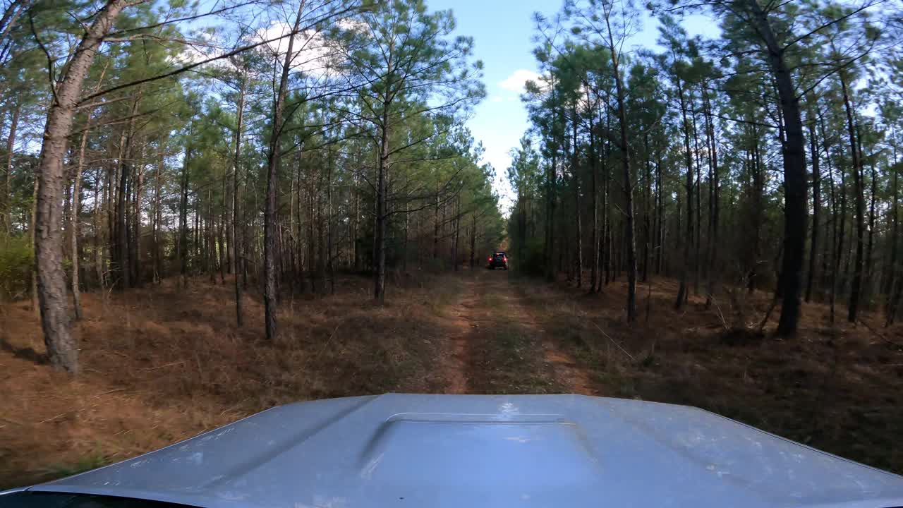 在森林中行驶在泥泞和长满草的道路上时，翻看着陆车辆的引擎盖和挡风玻璃视频素材