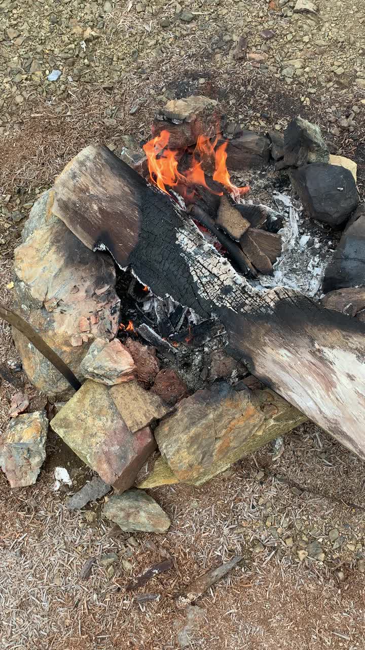 热带森林山地大气视频素材