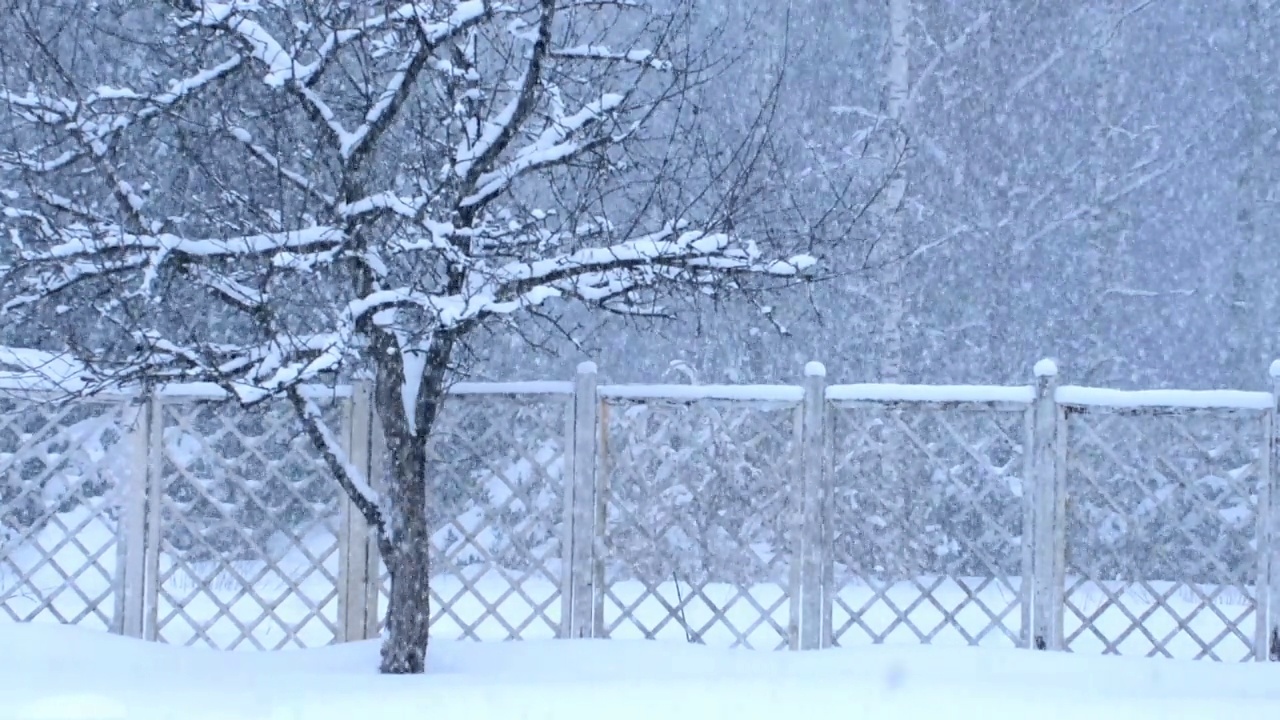 冬季景观，暴风雪，飓风和大雪。视频素材