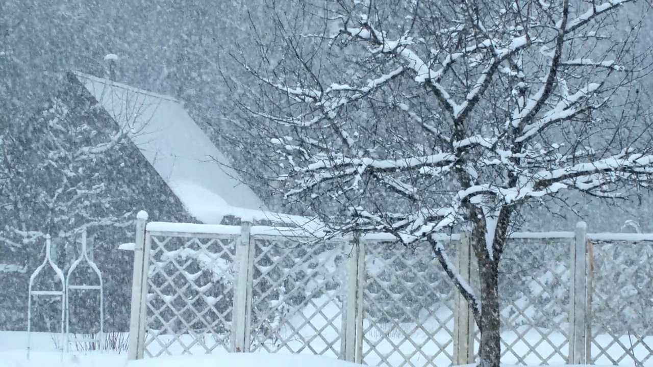 冬季景观，暴风雪，飓风和大雪。视频素材