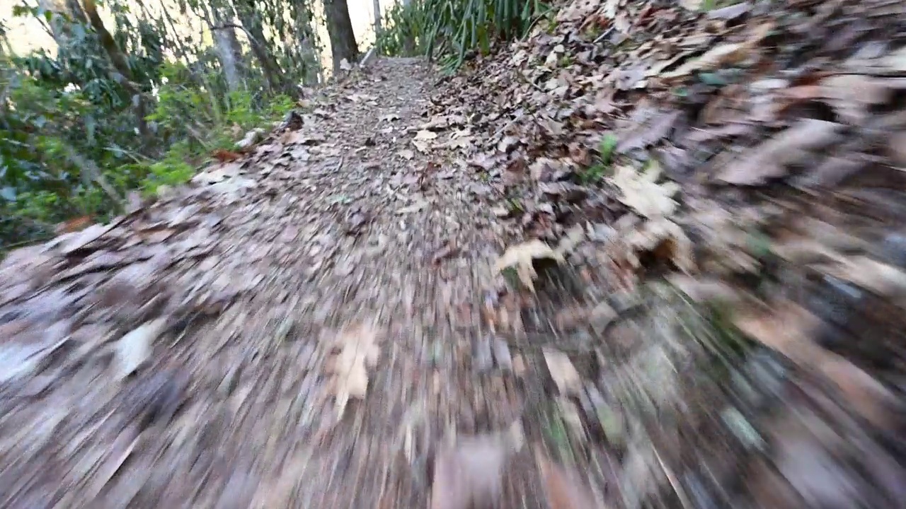 沿着小径从瀑布到繁忙的道路视频素材