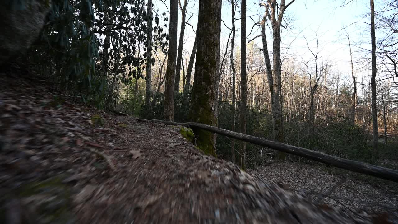 沿着小路向树林里的小水坝走去视频素材