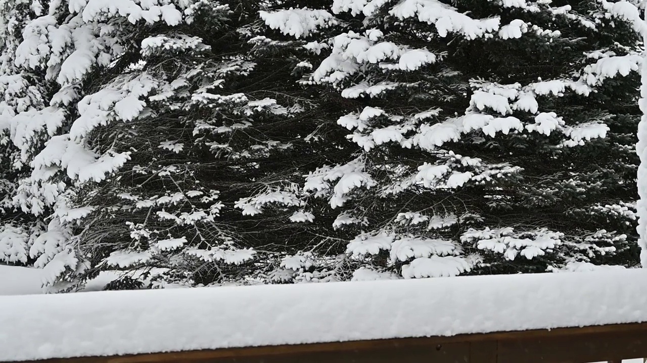 甲板栏杆上有厚厚的积雪视频素材