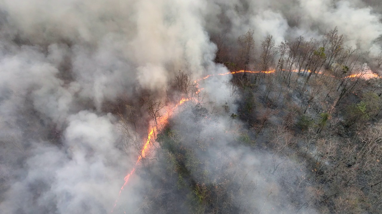 野火释放二氧化碳(CO2)和其他温室气体(GHG)，导致气候变化和全球变暖。视频素材